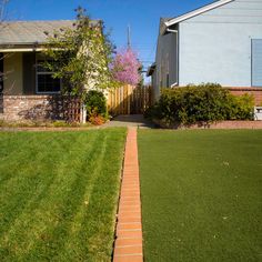 a yard with grass and brick walkway leading to a house on a sunny day in the suburbs