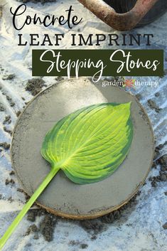 a large green leaf sitting on top of a stone slab with the words concrete leaf imprint stepping stones