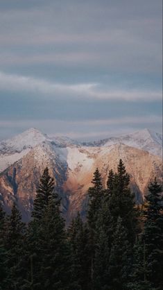 the mountains are covered with snow and trees in the foreground is a dark blue sky