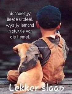 a little boy sitting on top of a wooden floor next to a brown dog wearing a vest