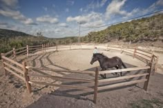 a brown horse standing in an enclosed area