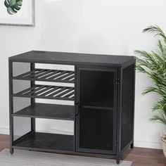 a black cabinet sitting on top of a wooden floor next to a potted plant