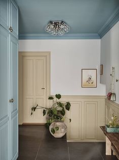 a room with blue walls and white trim on the ceiling, has a potted plant in it