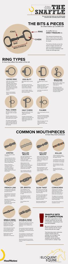 an info sheet describing the different types of scissors and how they are used to make them