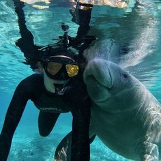 a man in scuba gear and goggles standing next to a large elephant under water