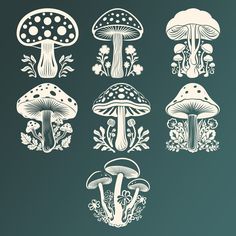 four different types of mushrooms on a dark green background with white outlines and flowers