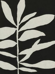 a black and white image of a plant with leaves on it's back side