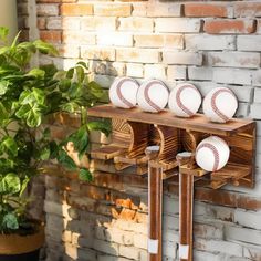 four baseballs are mounted to a wooden rack on a brick wall next to a potted plant