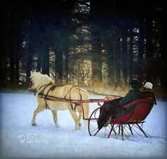 two horses pulling a sleigh with people in it through the snow covered woods