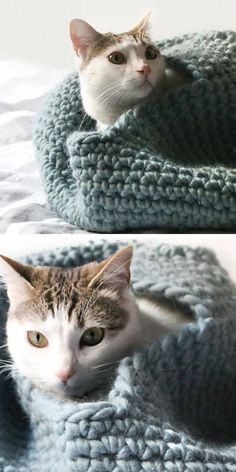 two pictures of a cat laying in a crocheted bed and looking at the camera