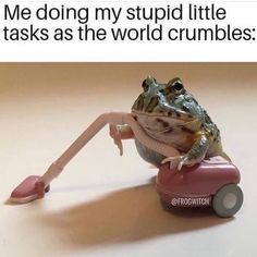 Andermatt, What Do You Meme, Funniest Memes, Animal Memes, Bones Funny, Frogs, Keep Up, Mood Pics