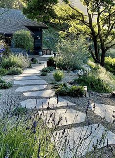 an outdoor garden with stone walkways and trees