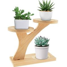 three potted plants sitting on top of two wooden shelves with succulents