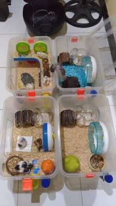 three plastic containers filled with food on top of a white tile floor next to a cat toy