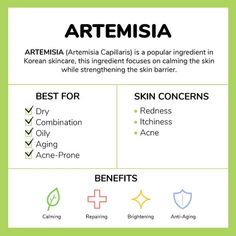 Ingredient 101: Artemisia – FaceTory - #1 Sheet Mask Destination Type Of Skin, Combination Skin Type, Aerobic Exercise, Flexibility Workout, Sheet Mask, Skin Concern