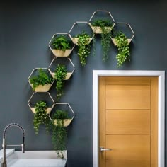 a bathroom with plants hanging on the wall