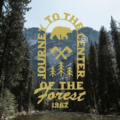 there is a sign that says to the wilderness of the forest in front of some trees