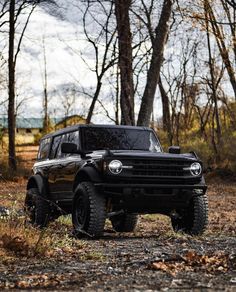 a black truck is parked in the woods