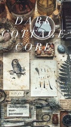 the cover of dark cottage core, with an owl and other items on top of it