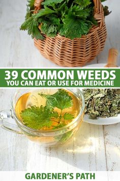 three different types of herbs are shown in this collage with the title, 39 common weeds you can eat or use for medicine