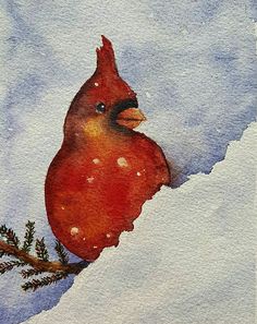 a watercolor painting of a cardinal perched on a branch in the snow with pine needles