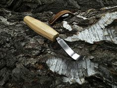 a knife sitting on top of a piece of wood next to a tree trunk with lichen