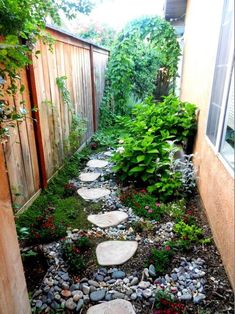 a narrow garden with stepping stones and plants