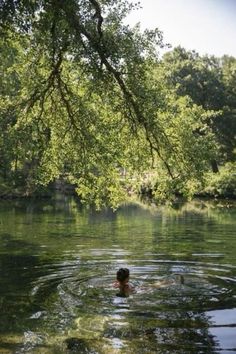 a person swimming in the water under a tree