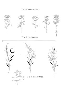 the steps to draw flowers with pencils