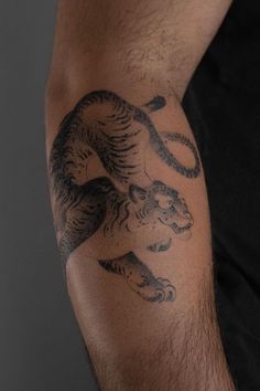 Blackwork Japanese tattoo tiger, tiger tattoo aesthetic, arm tattoo art design, tattoo design Asian Traditional Tattoos Tiger, Asian Tattoos Men, Blackwork Japanese Tattoo, Tattoos For Guys Arm, Arm Tattoo Inspiration, Arm Tattoos Japanese, Mens Tiger Tattoo, Modern Western Style, Tattoos Tiger