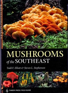 mushrooms of the southeast by todd f elliott and steven l stephenson, timber press field guide