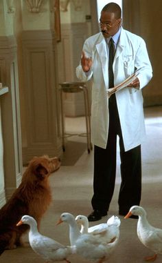 a man in a white lab coat standing next to ducks and a dog on the floor