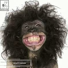 an image of a monkey with long hair on it's head and teeth missing