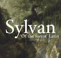 Baby boy name Sylvan. Fantasy Forest Names Ideas, Sylvie Name, Names Meaning Forest, Fantasy Forest Names, Kingdom Names Ideas With Meaning, Names That Mean Forest, Latin Last Names, Latin Surnames, Kingdom Names With Meanings