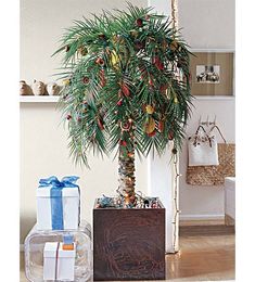 a small palm tree with presents under it