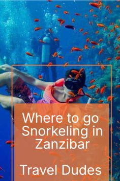 Snorkeling in Zanzibar Zanzibar Travel, Together Lets, Exotic Places, Explore Travel, Barcelona Spain, Adventure Awaits, Guide Book, Snorkeling