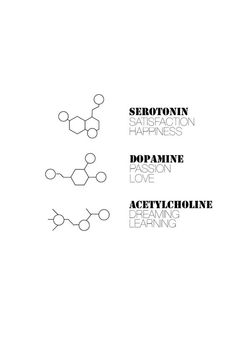 the book cover for serotronin, dopapine and acetylcholinne