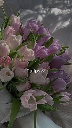 a bouquet of tulips sitting on top of a bed