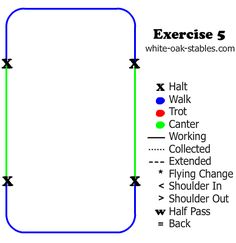 an image of a cell phone with the text exercise 5 and instructions to use it