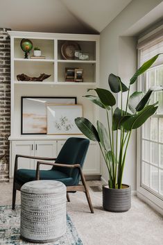 a living room filled with furniture and a large potted plant in the middle of the room