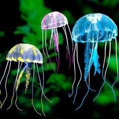 two jellyfish swimming in an aquarium with green plants behind them and blue, pink, and white colors