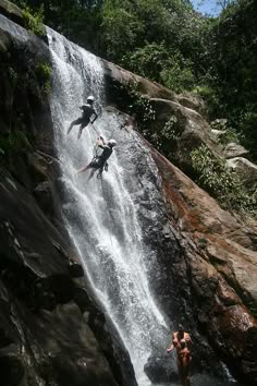 two people are jumping off a waterfall into the water while another person is swimming in the pool