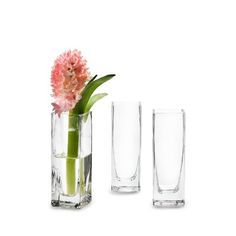 three glass vases with flowers in them on a white background and one is empty