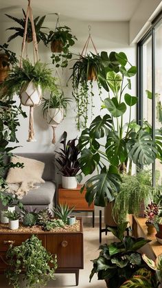 a living room filled with lots of green plants