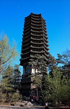 a tall tower sitting in the middle of a forest