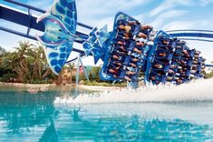 an image of people riding roller coasters in the water at seaworld, florida