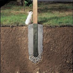 a rabbit sitting on top of a pile of dirt next to a shovel