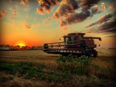 a large red harvest truck driving through a wheat field under a cloudy sky at sunset