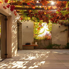 the sun shines through some vines in an outdoor area with potted plants and benches