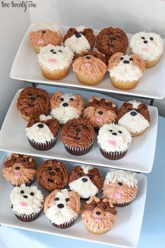 three tiered trays with cupcakes decorated like dogs and bears on them